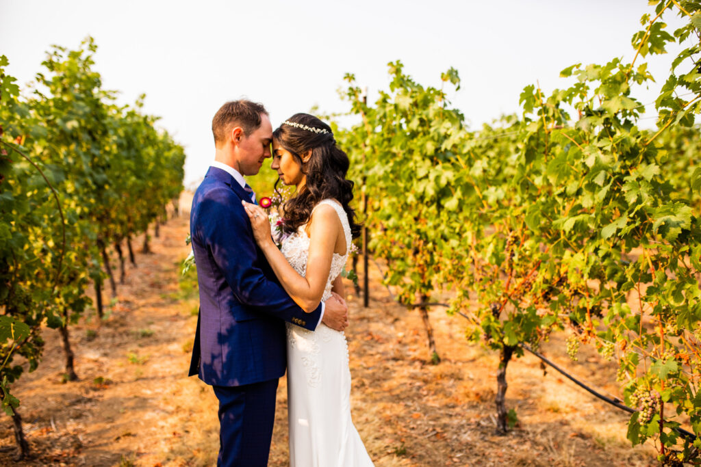 Vineyard photo of bride and groom at their Vancouver Island Wedding At Enrico Winery