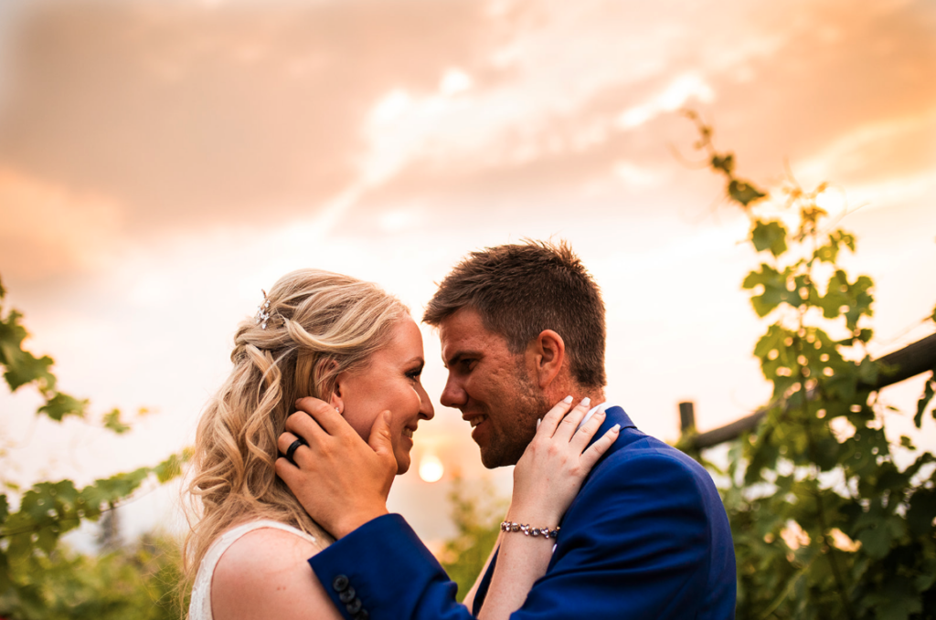 Couple kissing at Okanagan wedding on a vineyard