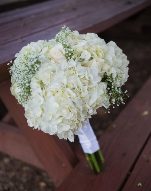 White hydrangeas as a bridal bouquet