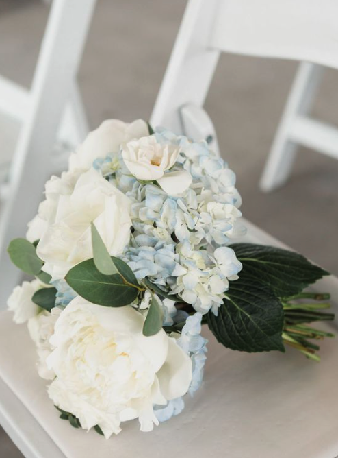 White and blue hydrangeas for a bridal bouquet